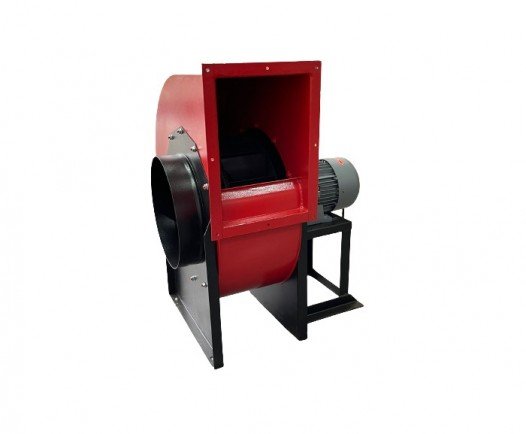 Radyal Fanlar